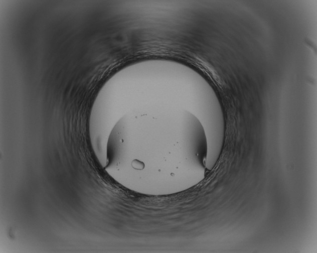 X0000094780025200712141630