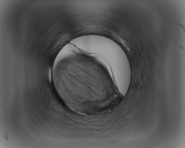 X0000094780027200712141630