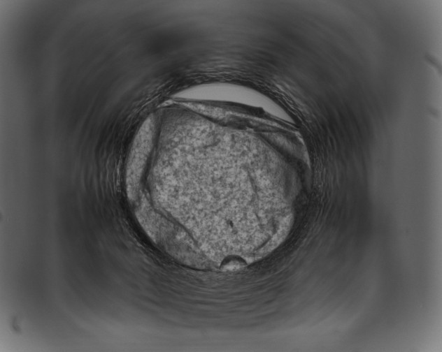 X0000094780030200712141630