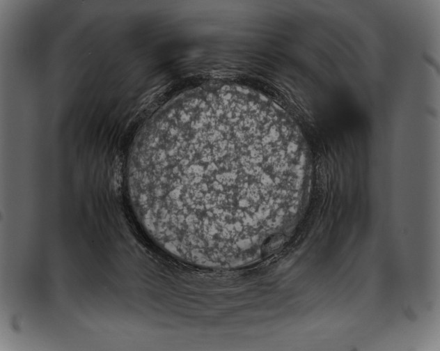 X0000094780032200712141630