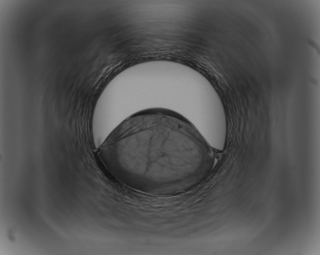 X0000094780035200712141630