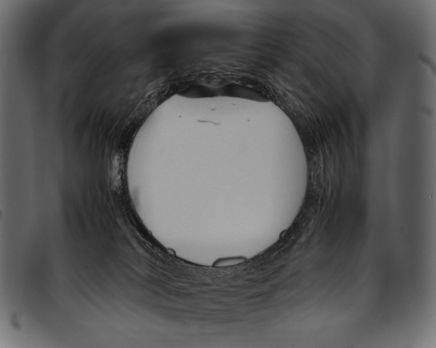 X0000094780038200712141629