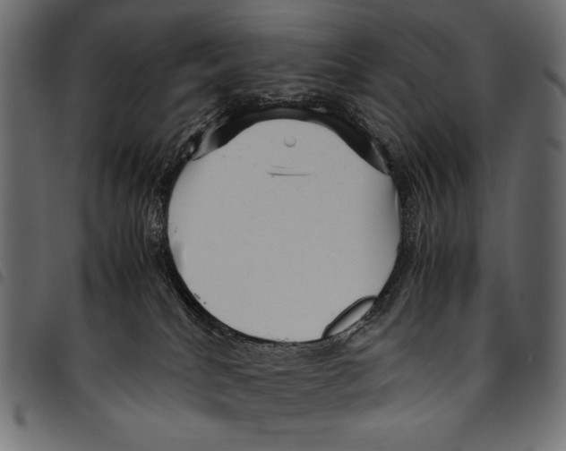 X0000094780040200712141629