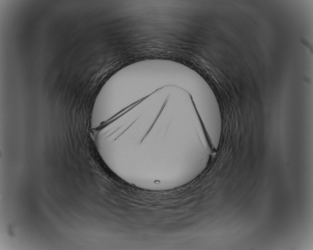 X0000094780043200712141629