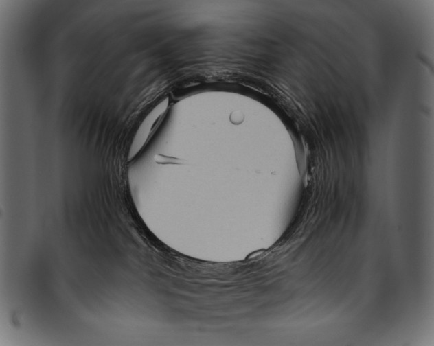 X0000094780044200712141629