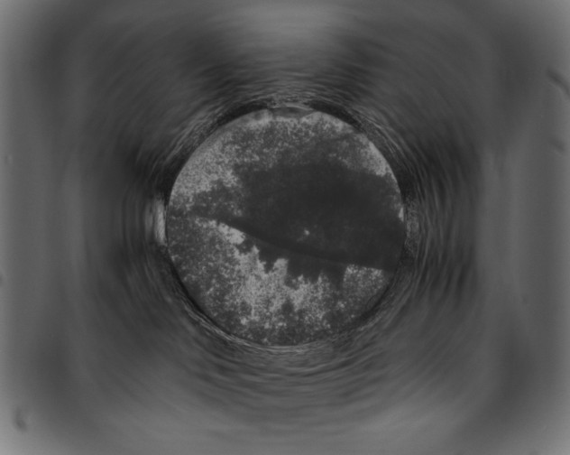 X0000094780046200712141629