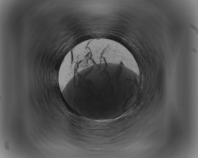 X0000094780048200712141629