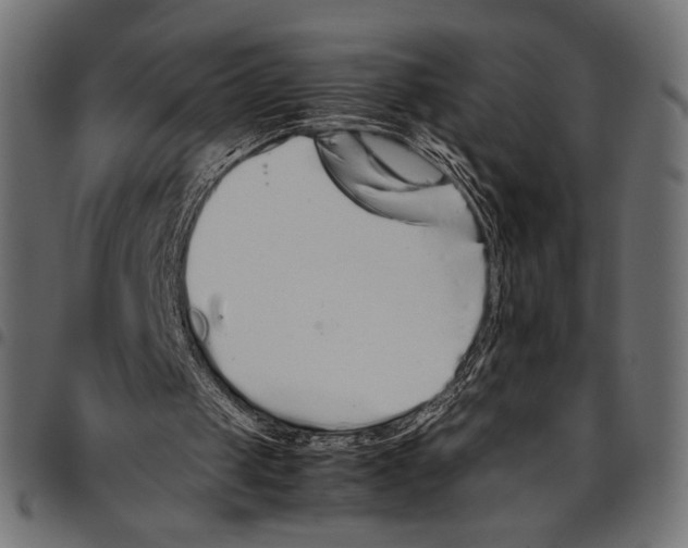 X0000094780049200712141629