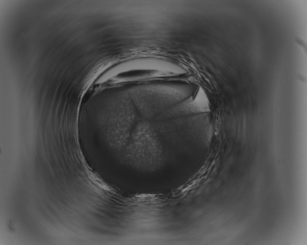 X0000094780052200712141629