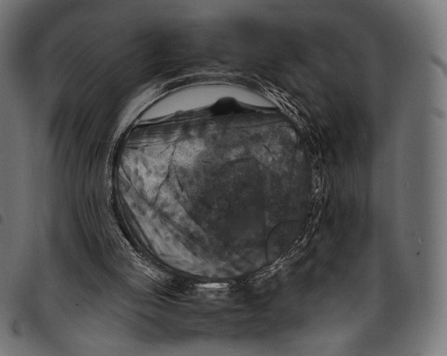 X0000094780053200712141629