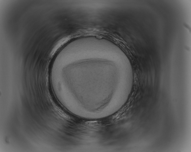 X0000094780054200712141629