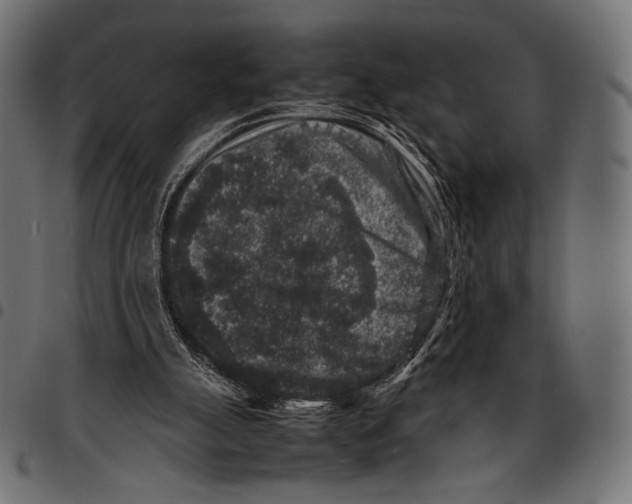 X0000094780055200712141629