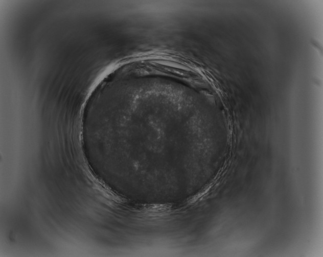 X0000094780056200712141629