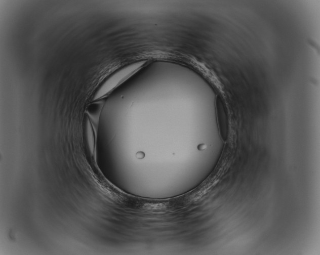 X0000094780057200712141629