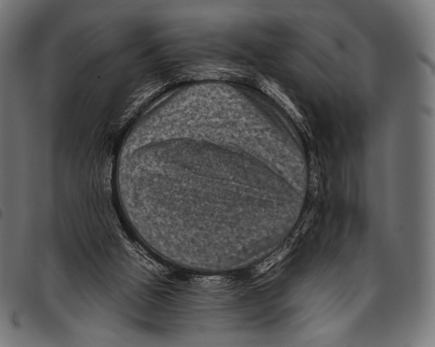 X0000094780058200712141629