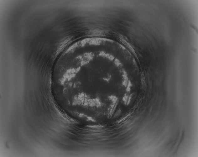 X0000094780059200712141629