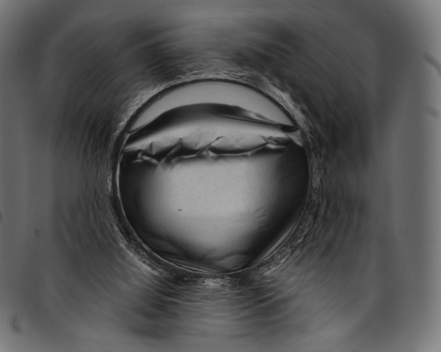 X0000094780060200712141629