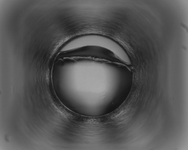 X0000094780064200712141629