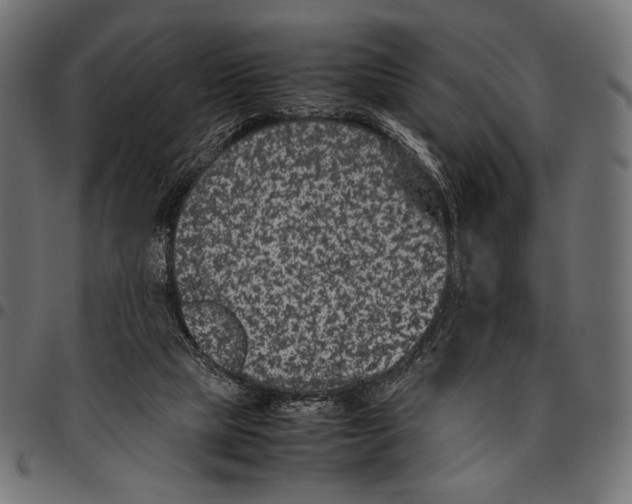 X0000094780065200712141629