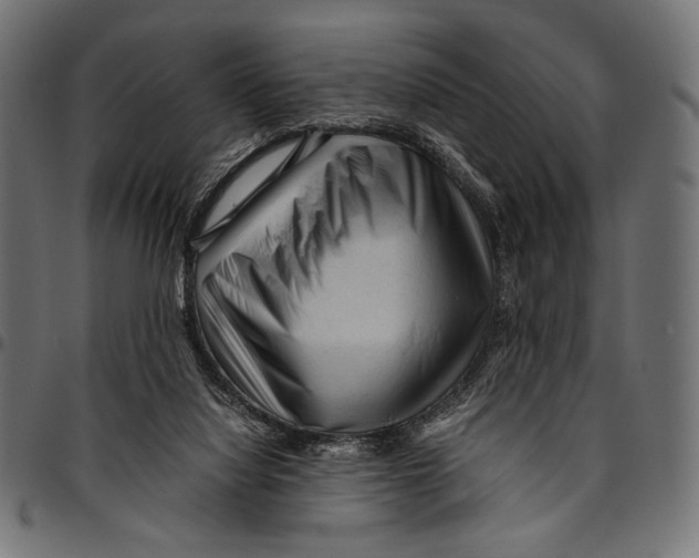 X0000094780068200712141629