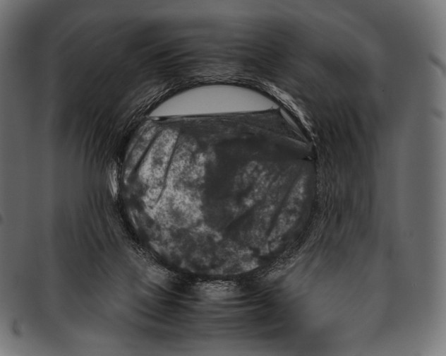 X0000094780069200712141629