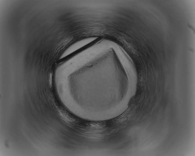 X0000094780070200712141629