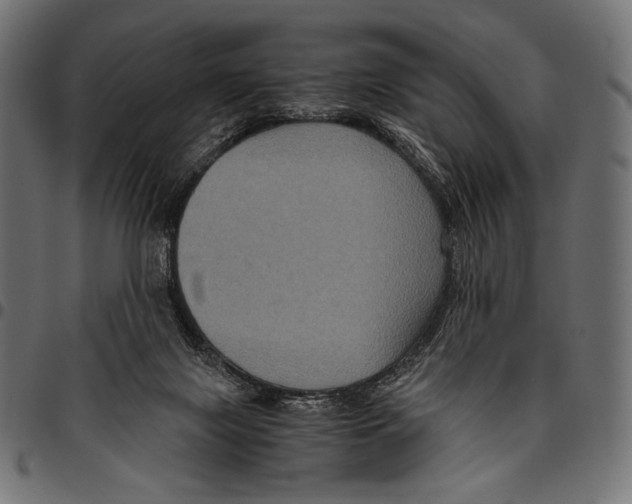 X0000094780071200712141629