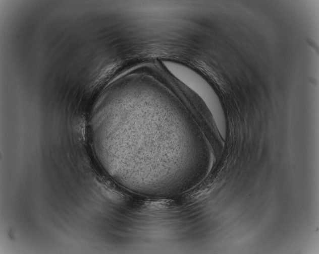 X0000094780072200712141629