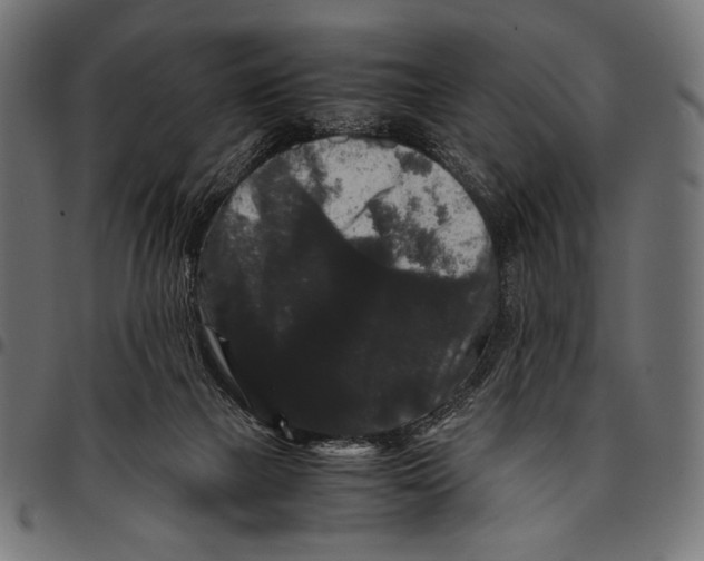 X0000094780073200712141629