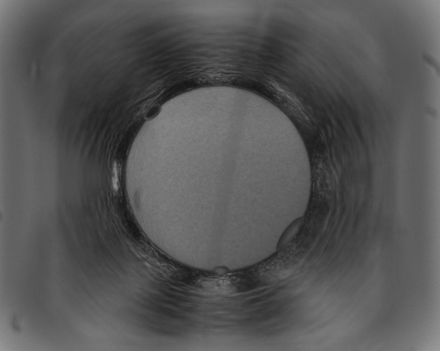 X0000094780075200712141629