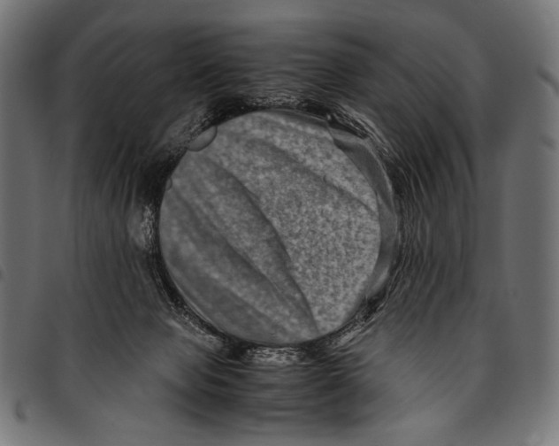 X0000094780077200712141629