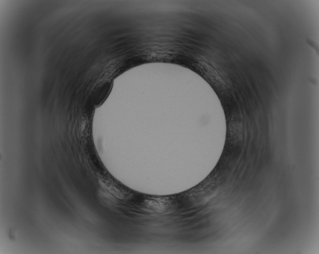 X0000094780079200712141629