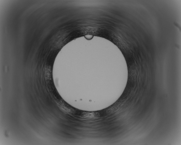 X0000094780083200712141629