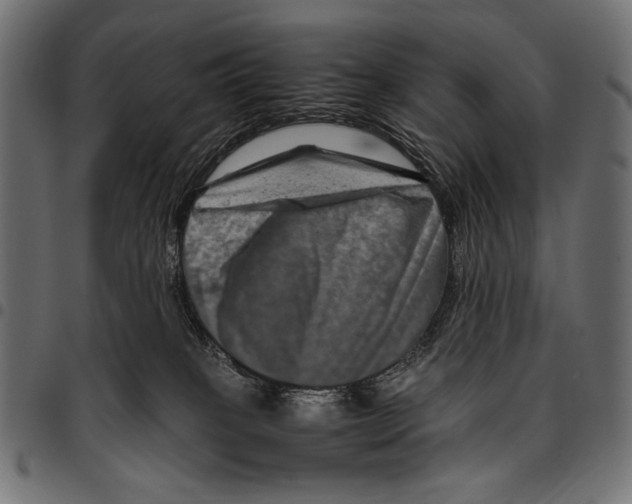 X0000094780085200712141629