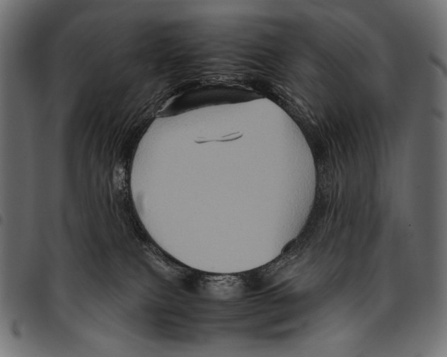 X0000094780087200712141629