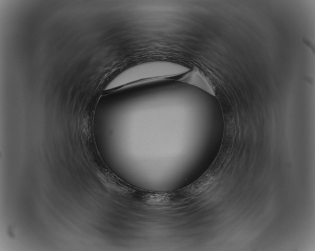 X0000094780088200712141629