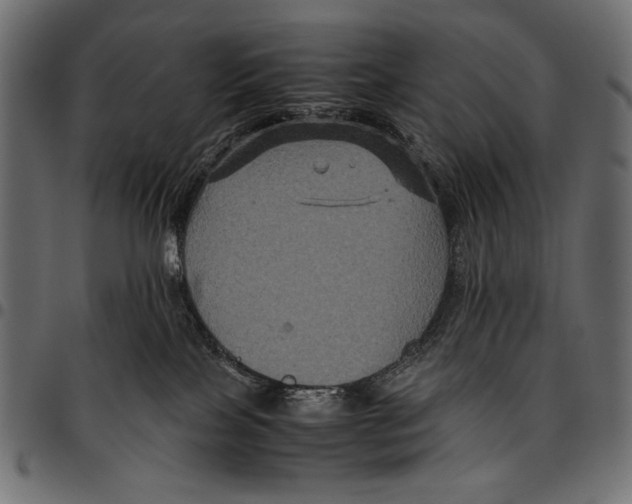 X0000094780089200712141629