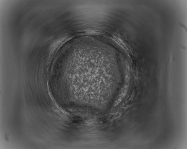 X0000094780097200712141629