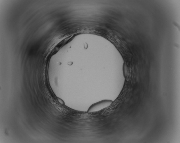 X0000094780098200712141629