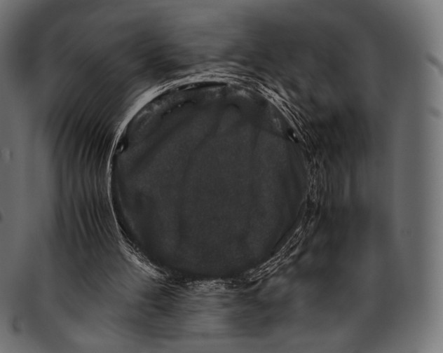 X0000094780100200712141629