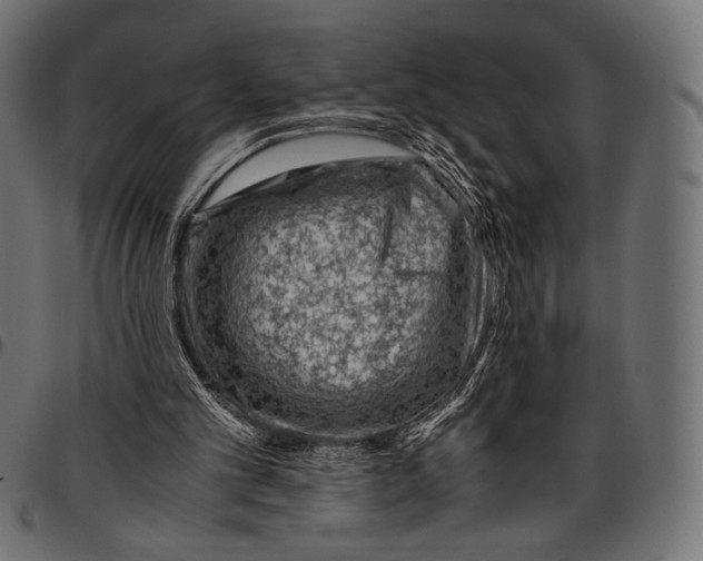 X0000094780101200712141629