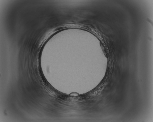 X0000094780103200712141629