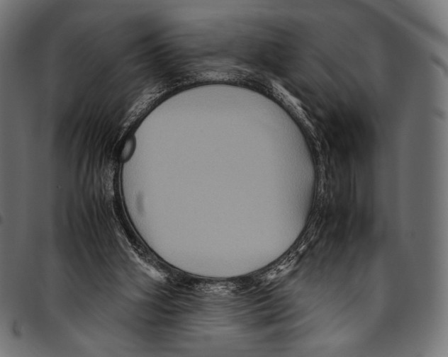 X0000094780106200712141629