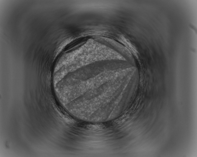 X0000094780107200712141629