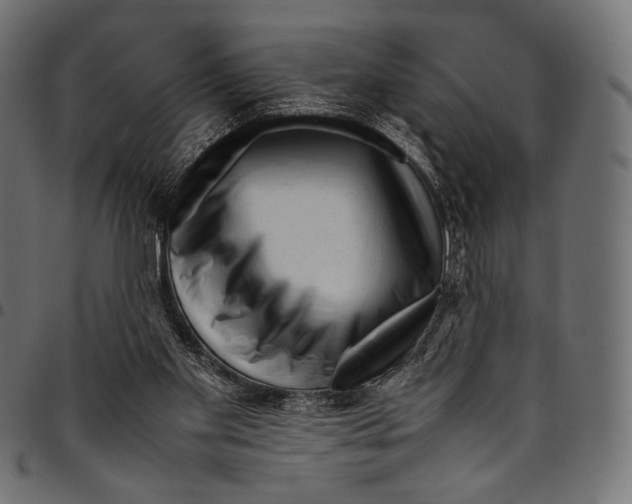 X0000094780109200712141629