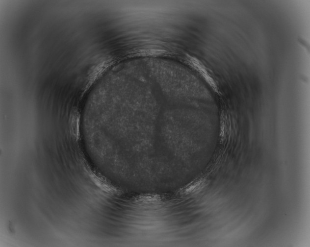 X0000094780110200712141629