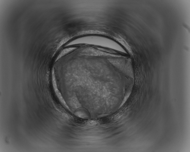 X0000094780111200712141628