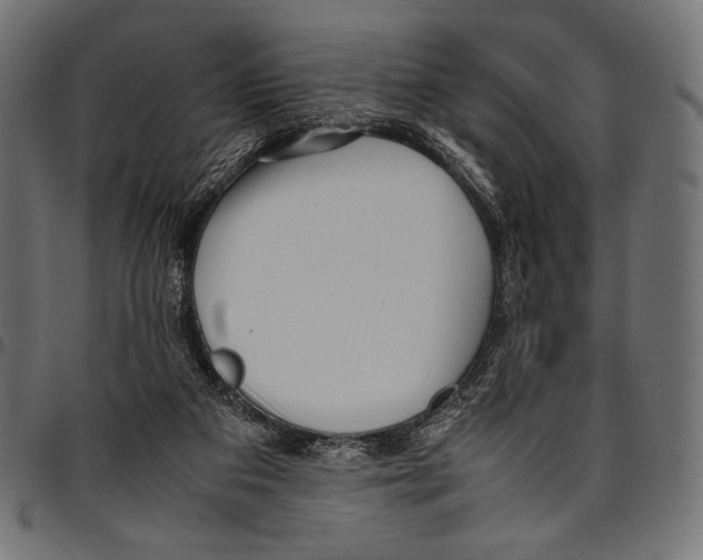 X0000094780113200712141628