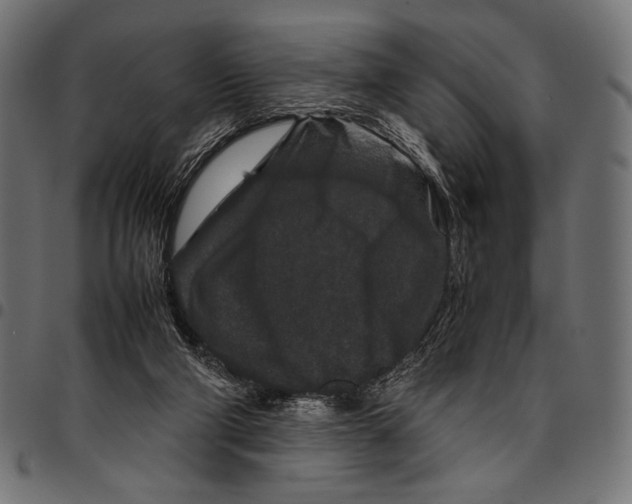 X0000094780114200712141628