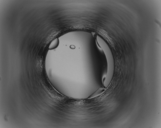 X0000094780116200712141628